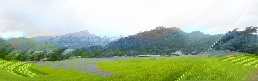 Similar – Image, Stock Photo Long path ahead. Landscape
