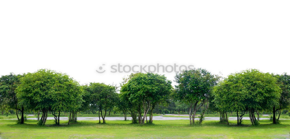 Similar – Foto Bild das feld ist grün Baum