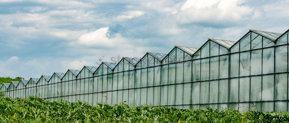 Similar – Image, Stock Photo agriculture