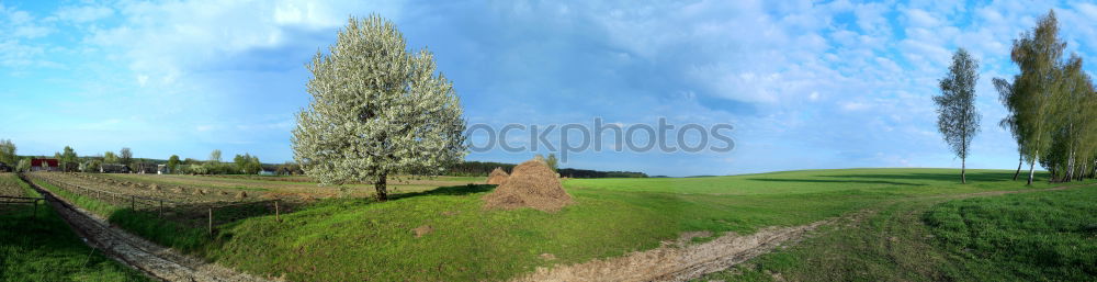 Similar – Foto Bild natur panorama