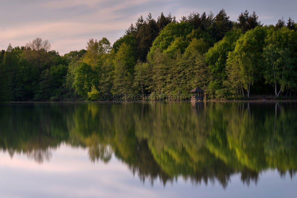 Similar – Still Water Lake Tree