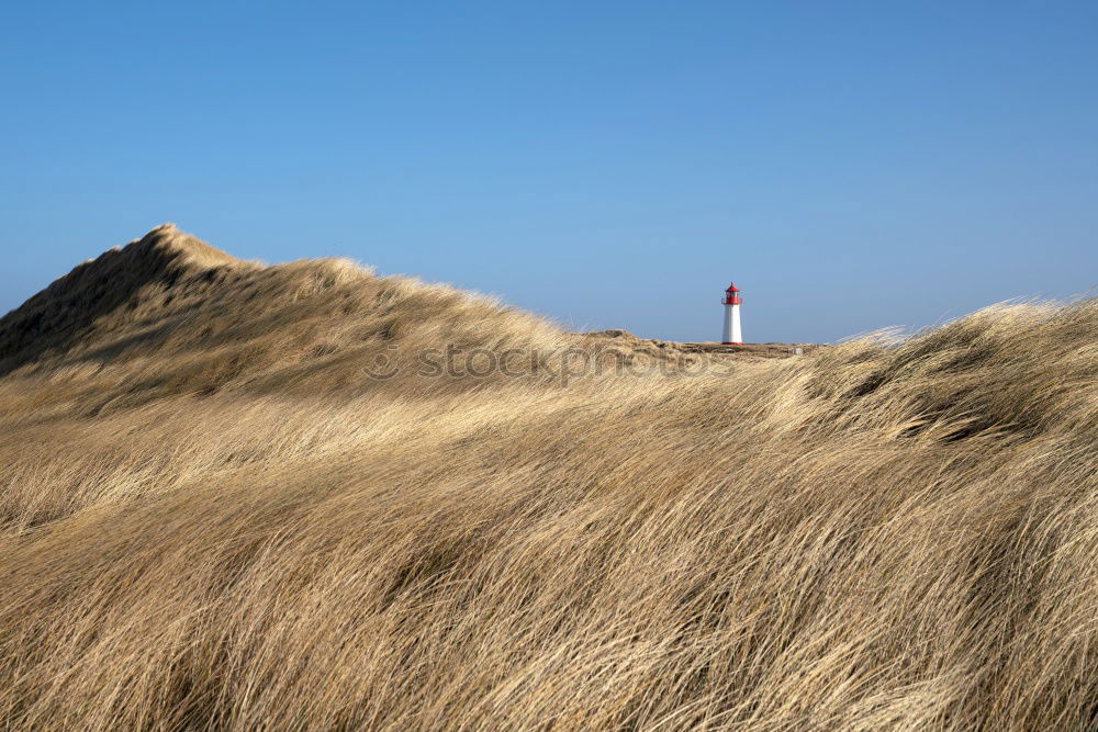 Image, Stock Photo Lighthouse Julianadorp