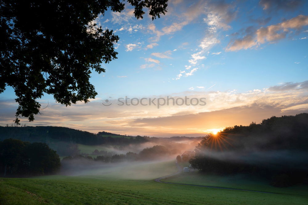 Similar – Image, Stock Photo Morning walk in rural environment