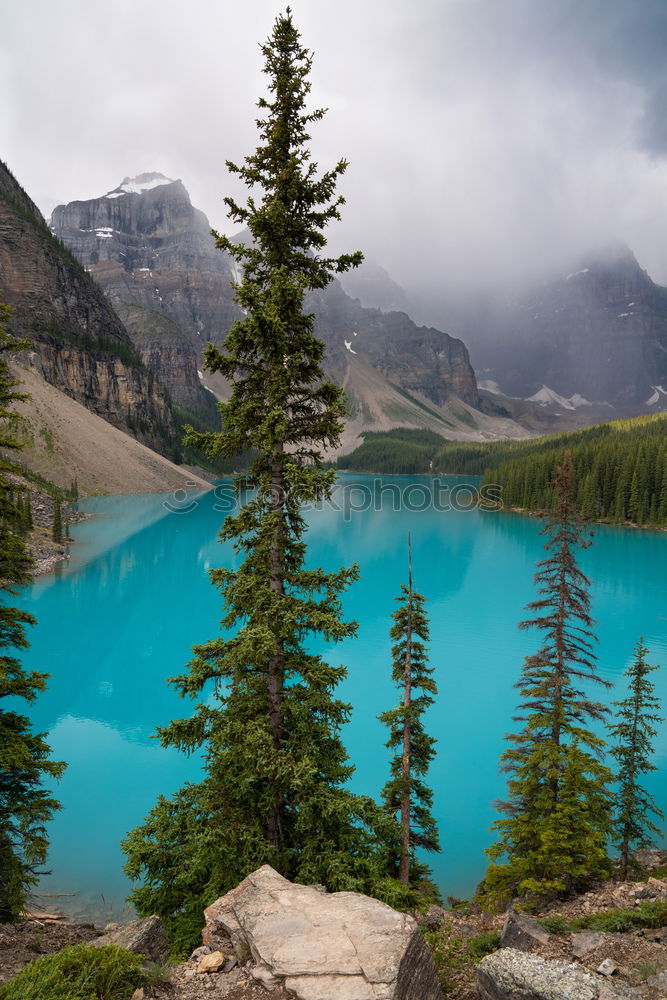Similar – Image, Stock Photo daydream Vacation & Travel