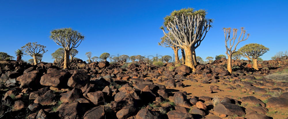 Similar – Image, Stock Photo playground of the giants