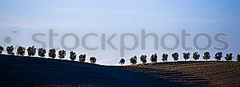 Image, Stock Photo threaded Autumn Air