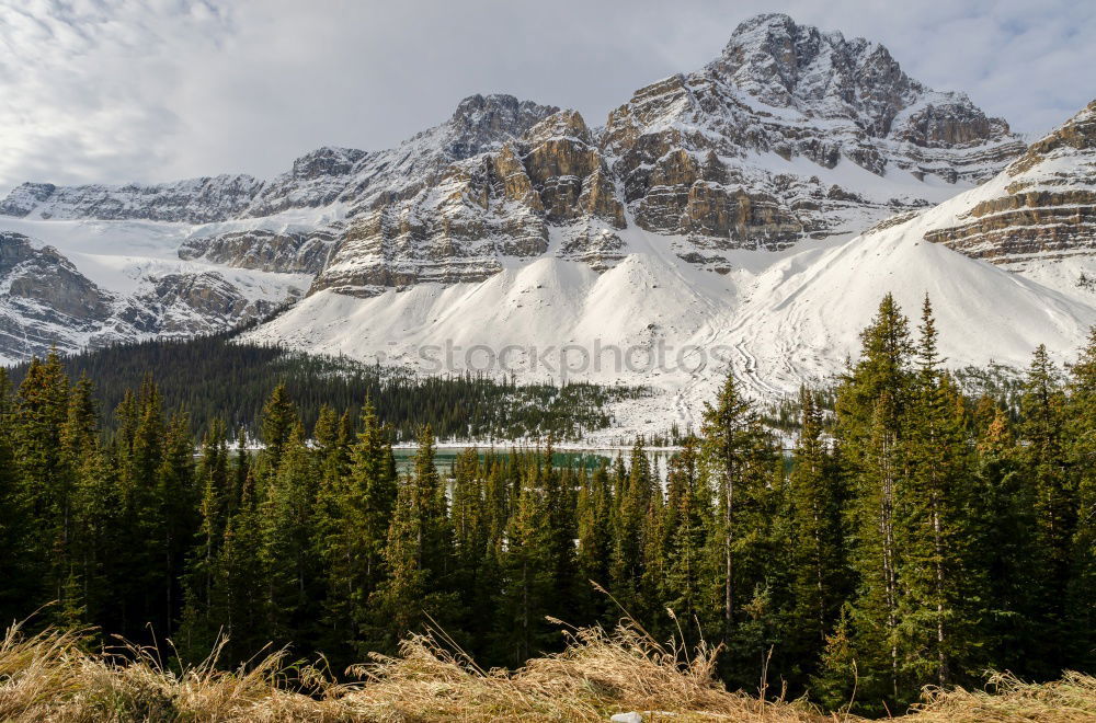 Similar – Icefields Parkway