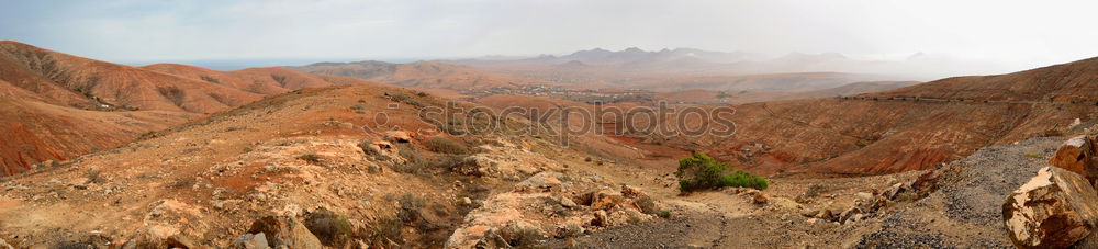 Similar – Image, Stock Photo Green snake Environment