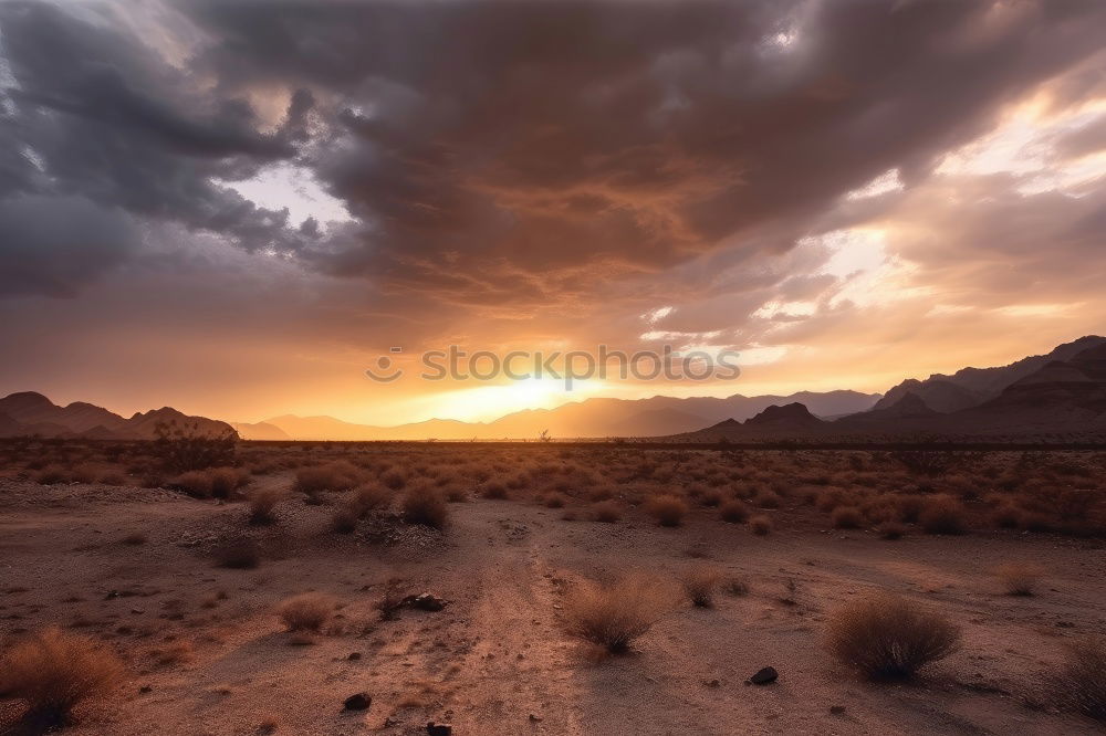 Similar – Image, Stock Photo Mojave Desert near Route 66 in California