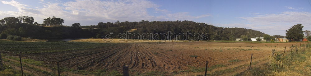 Similar – Image, Stock Photo home Meadow