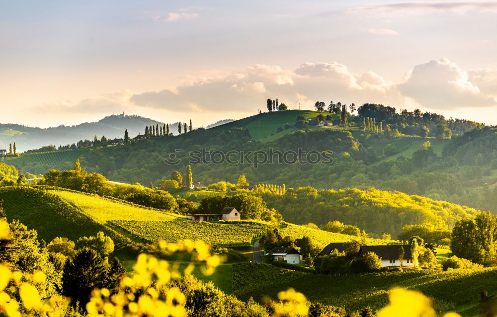 Similar – Image, Stock Photo The green contour of the earth