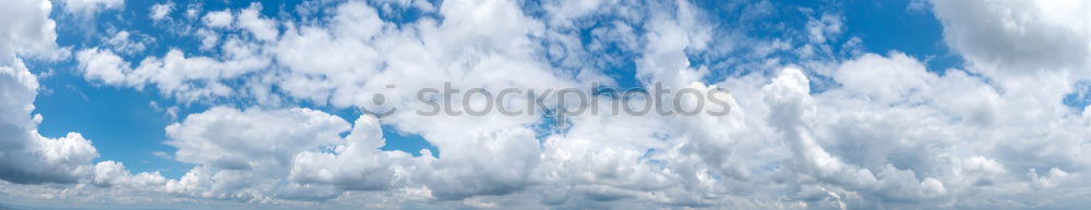 Similar – Image, Stock Photo Fluffy Environment Nature