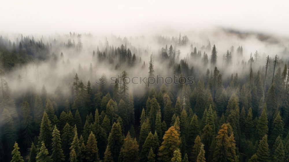 Similar – Image, Stock Photo waft of clouds Environment