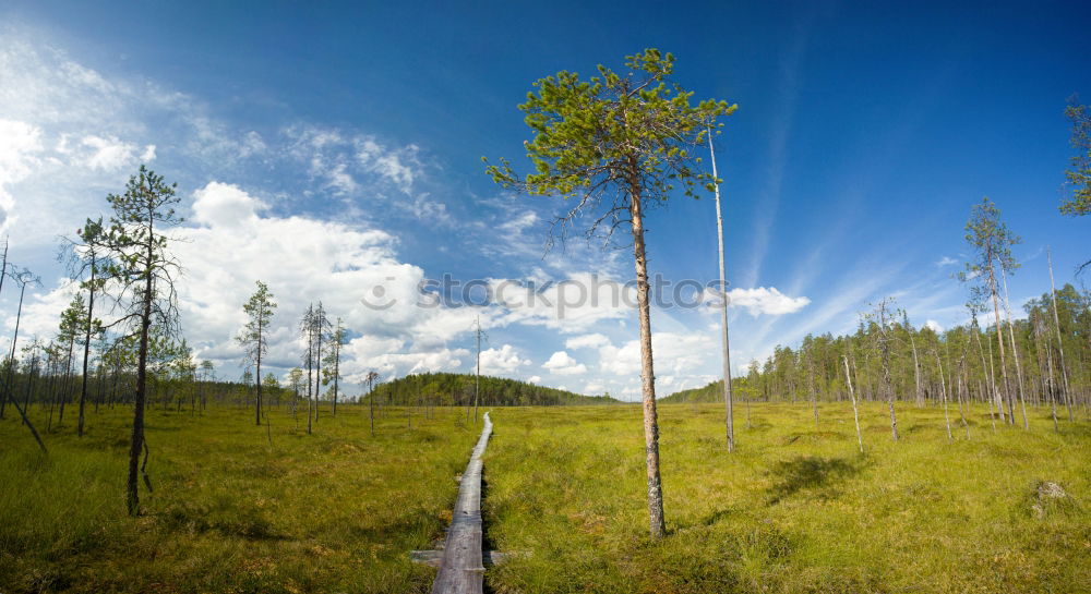 Similar – Image, Stock Photo matched Environment