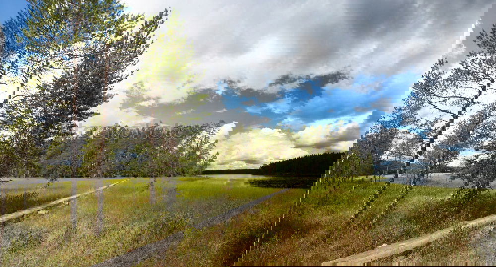 Similar – Foto Bild Landpartie Natur