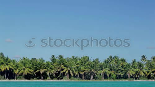 Similar – Image, Stock Photo power and peace