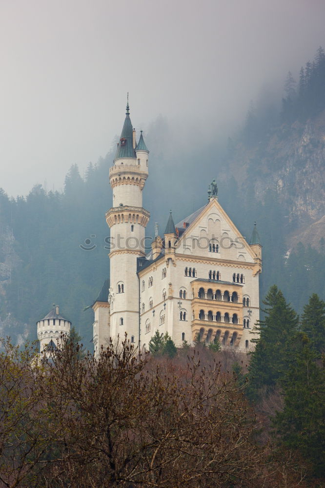 Similar – Image, Stock Photo Neuschwanstein Castle