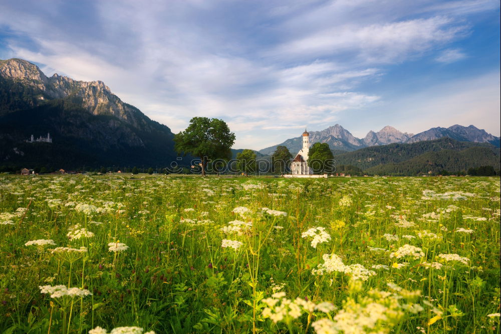 Similar – happy lovers on Holiday in the alps mountains