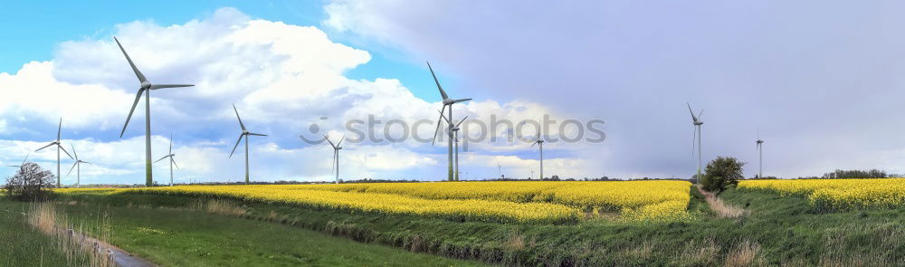 Similar – Image, Stock Photo Cuban Prairie