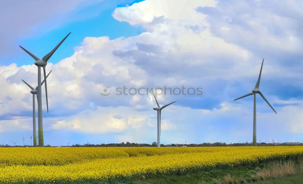 wind power Alternative