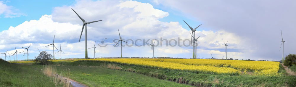 zwei Windkraftanlagen stehen hinter gelb blühendem Raps vor blauem Himmel