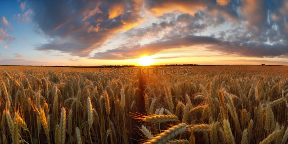 Similar – Image, Stock Photo Almost Neuschwanstein