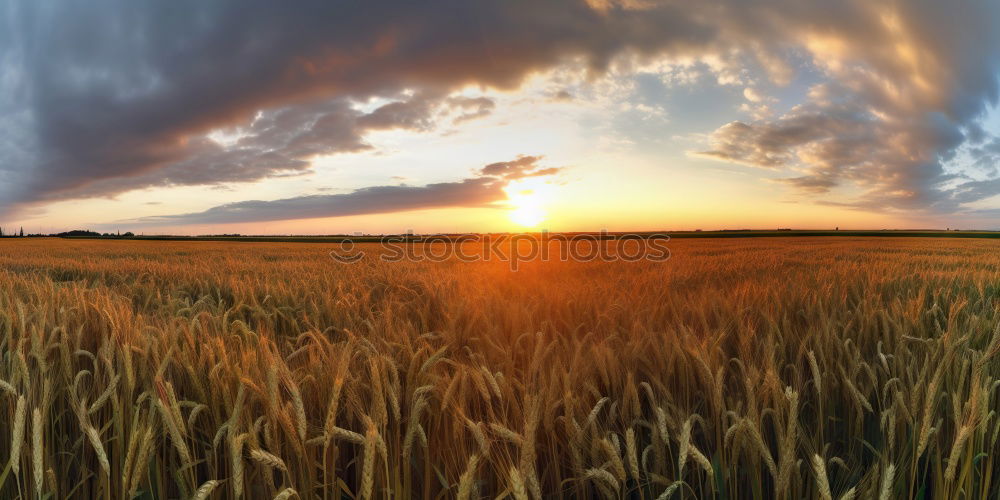 Similar – Image, Stock Photo Almost Neuschwanstein