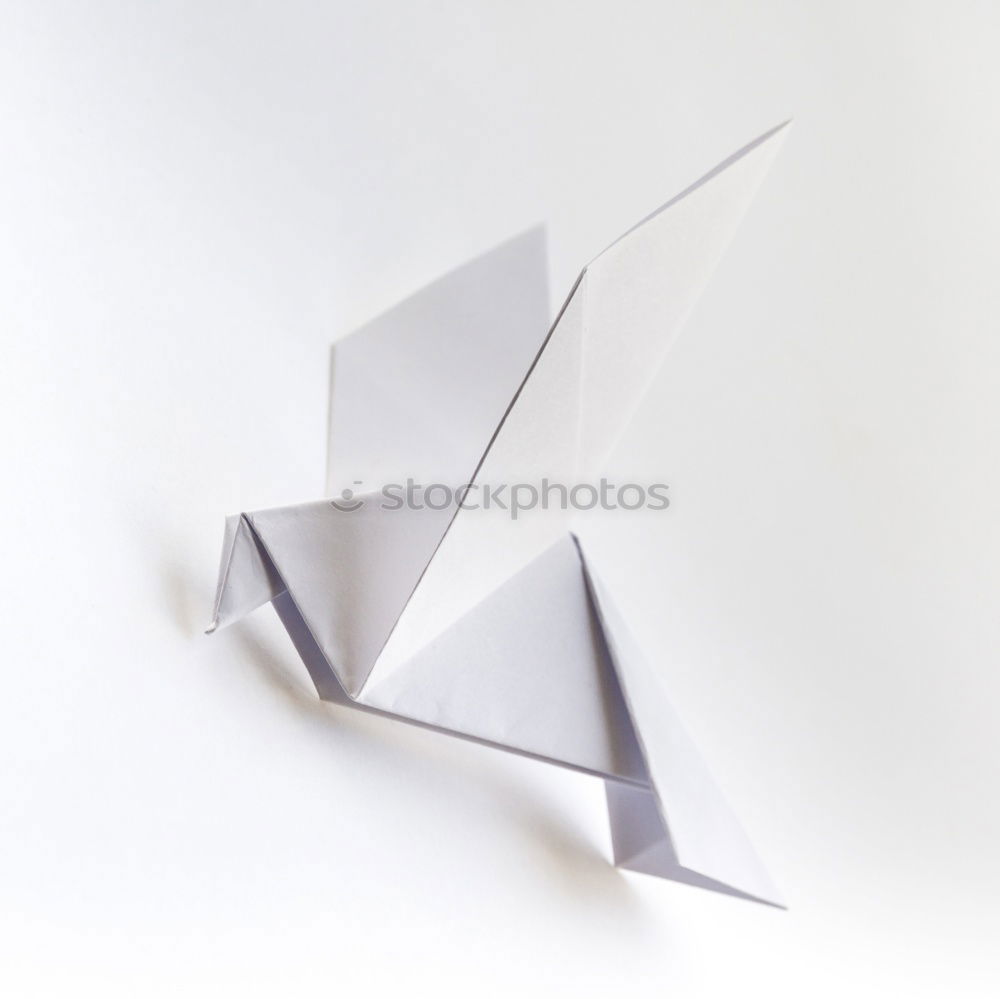 Image, Stock Photo Two origami bow Design