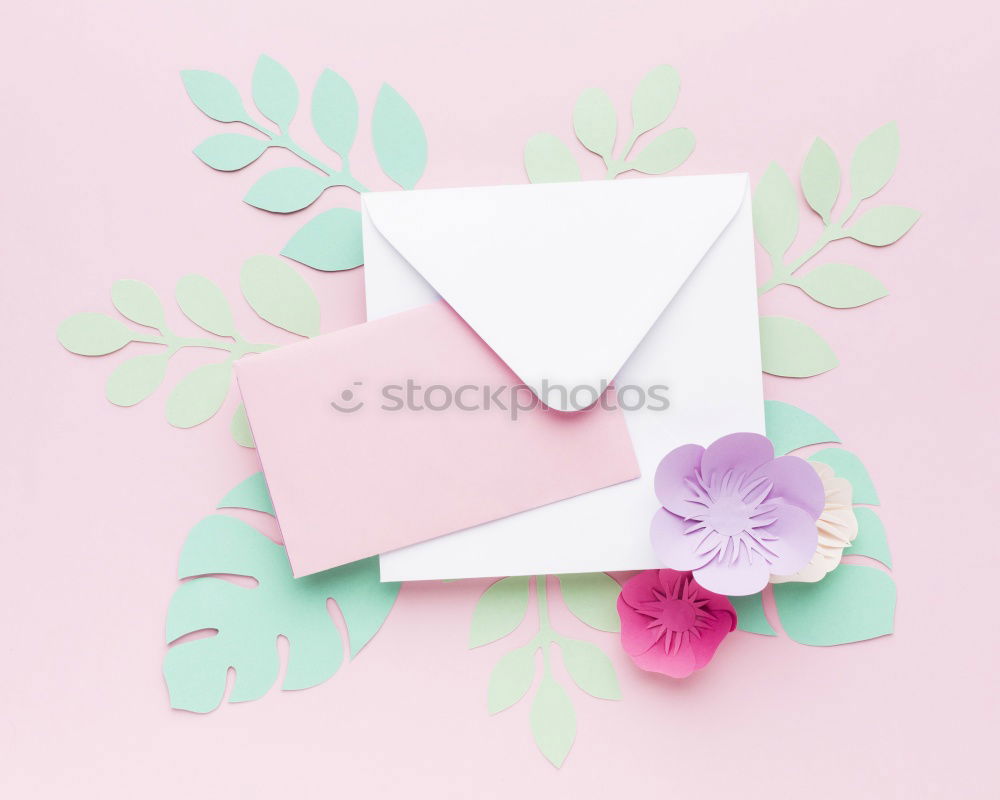 Flowers and envelope on a light pink background