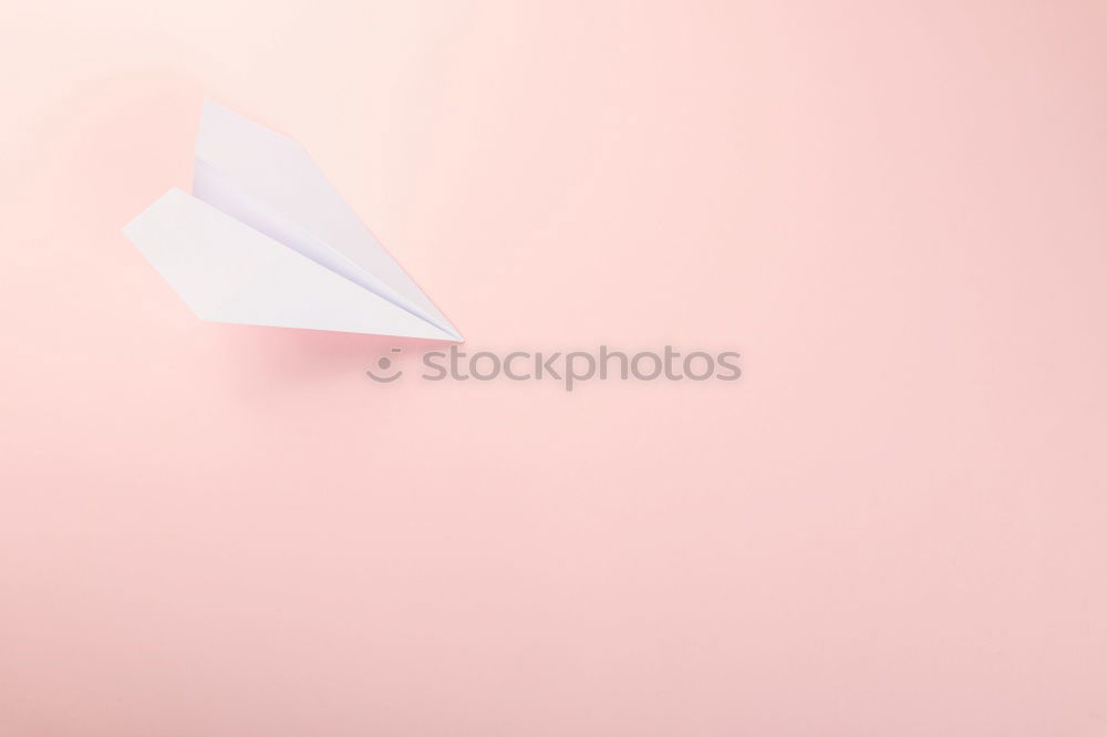 Similar – Image, Stock Photo Three red dried skeleton leaves in corner on pink paper