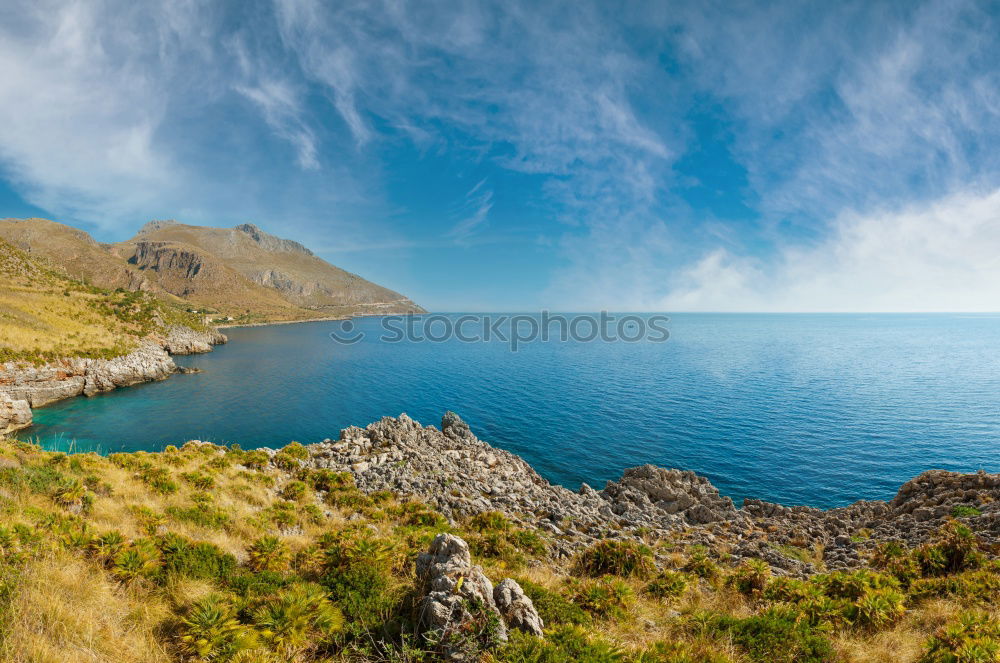 Similar – Image, Stock Photo vine Nature Landscape Blue