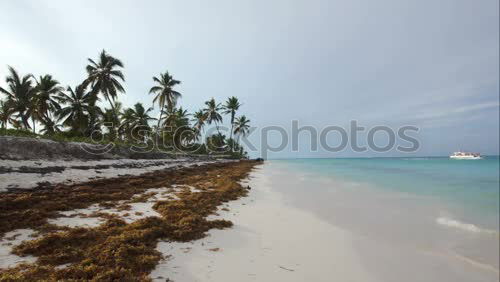 Similar – Beached South America