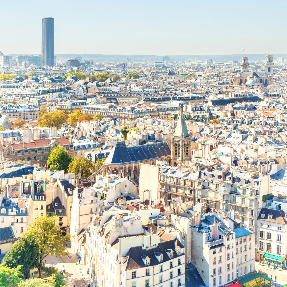 Paris cityscape with aerial architecture