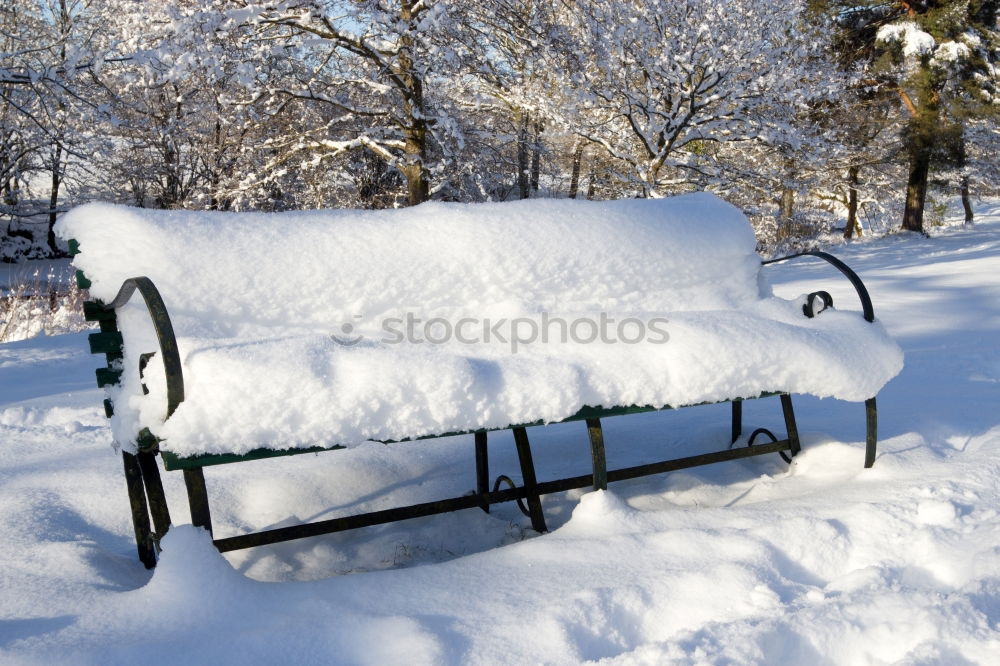 Similar – Image, Stock Photo 2 cut off windshield wipers sticking out of a car covered with snow