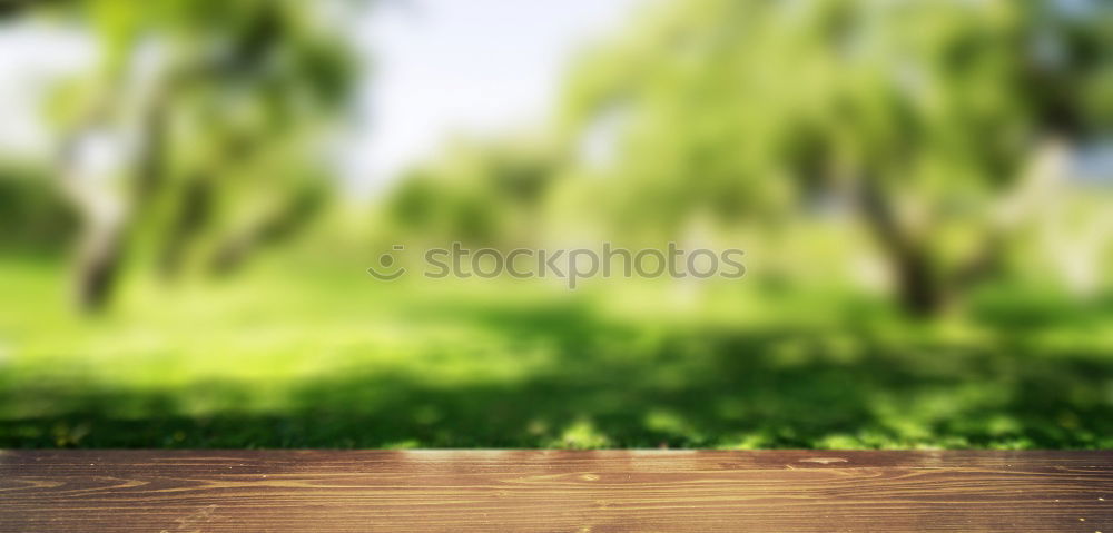 Similar – Image, Stock Photo PINk Meadow Grass