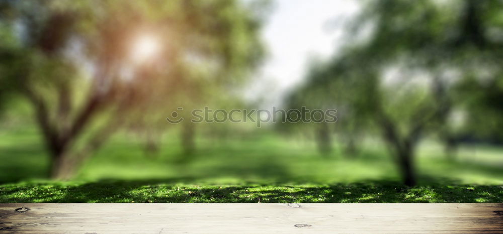 Similar – Foto Bild Auszeit Beine Fuß Baum