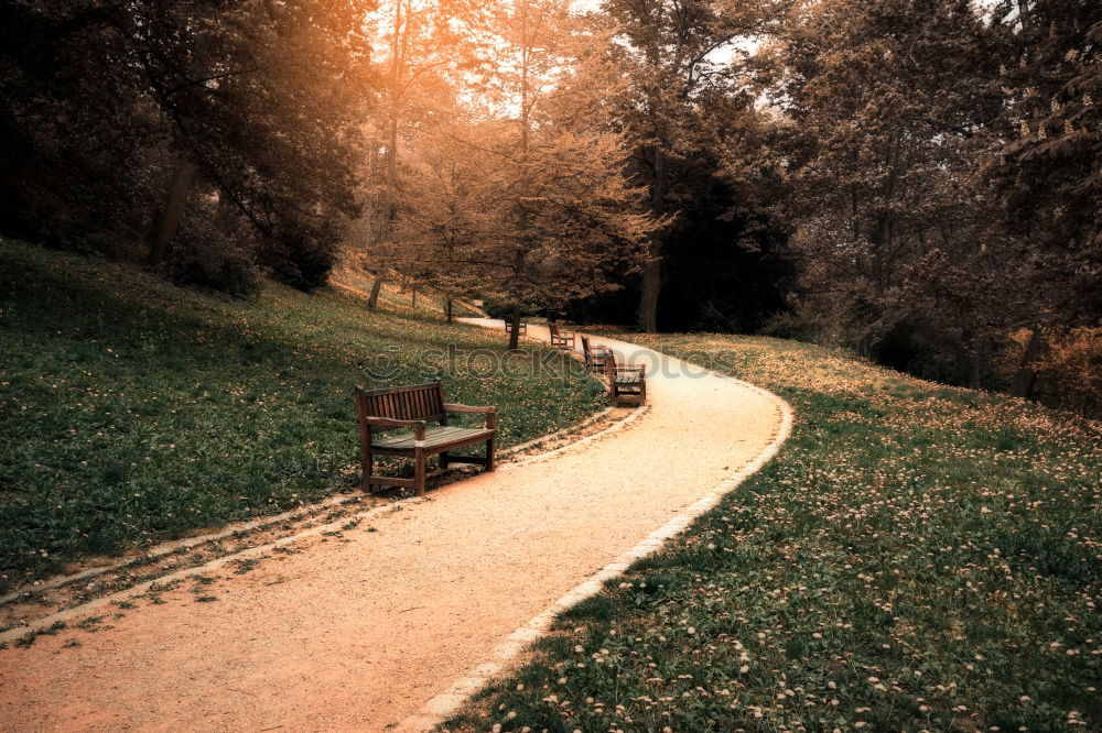 Similar – Image, Stock Photo stair floret Environment