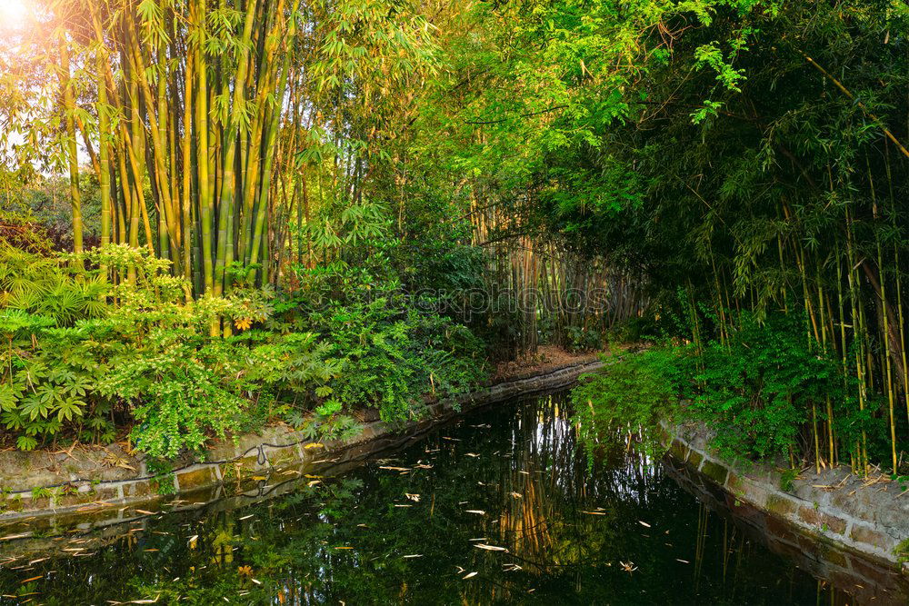 Similar – stone bridge Bridge