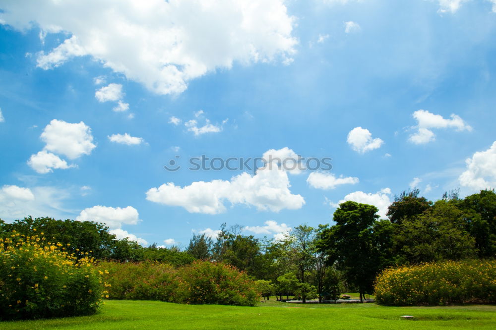 Similar – Image, Stock Photo Rummelsburger Bay