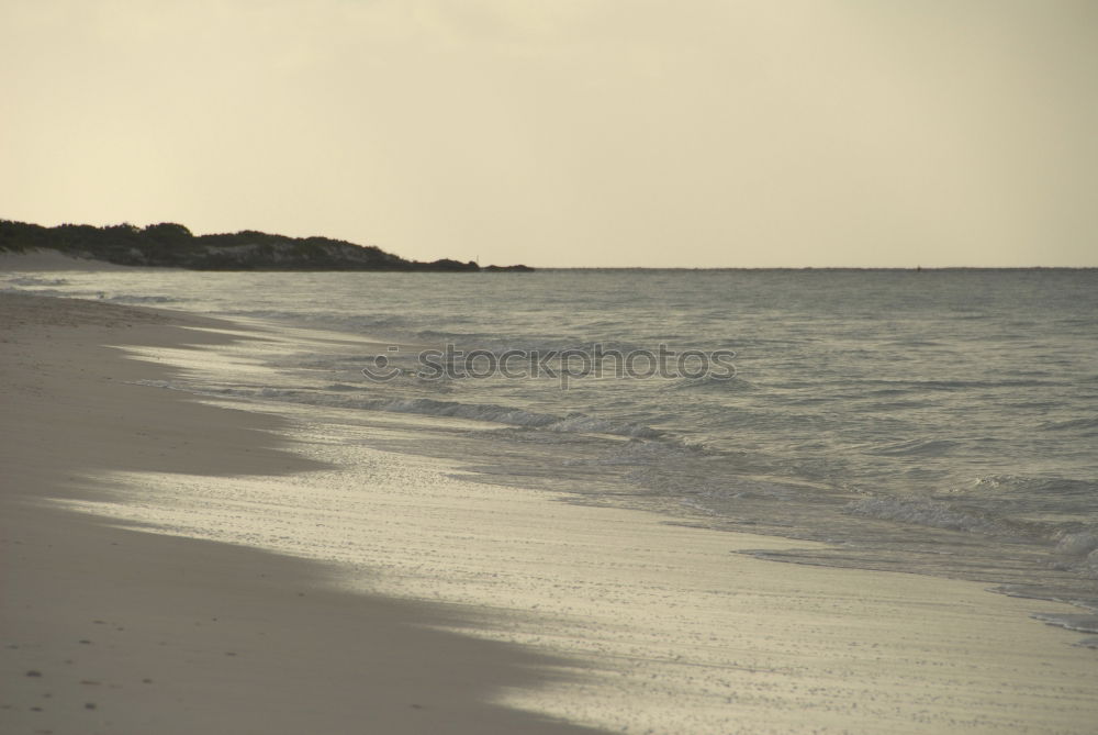 Similar – beach Beach Ocean Coast