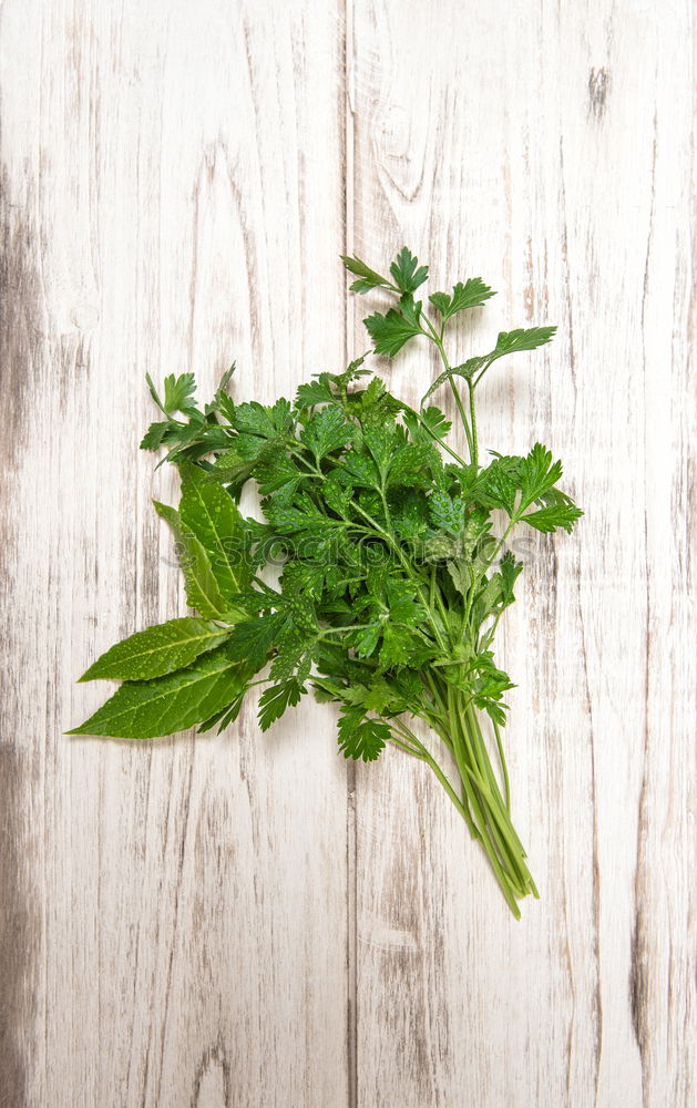 Similar – Image, Stock Photo Herbal tea from fresh nettle