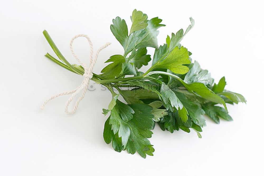 Similar – Image, Stock Photo Fresh raw asparagus spears on a white table