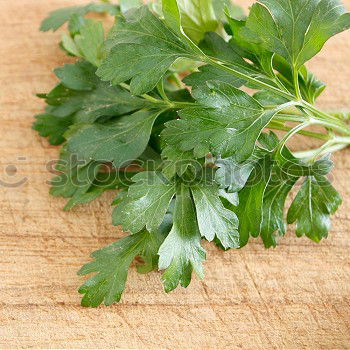 Similar – Image, Stock Photo Koriander Food Vegetable