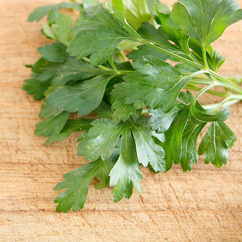 Similar – ingredient Parsley