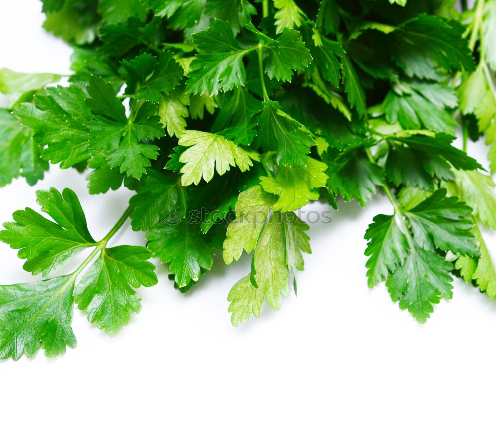 ingredient Parsley