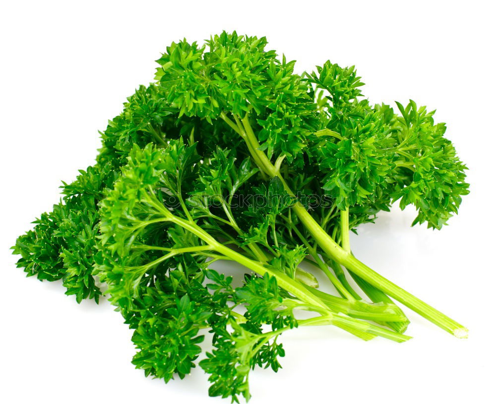 Similar – Image, Stock Photo parsley Parsley