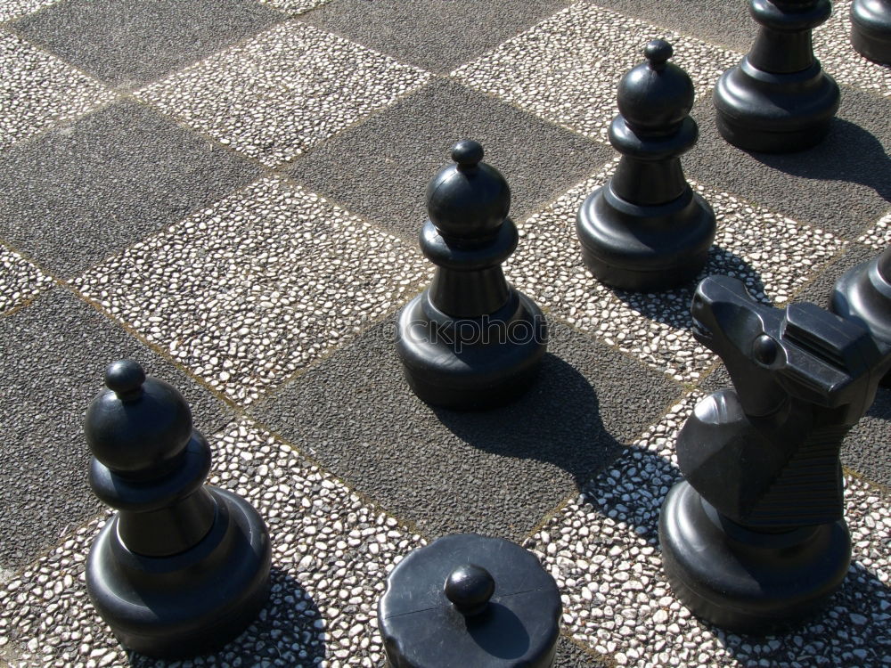 Similar – garden chess