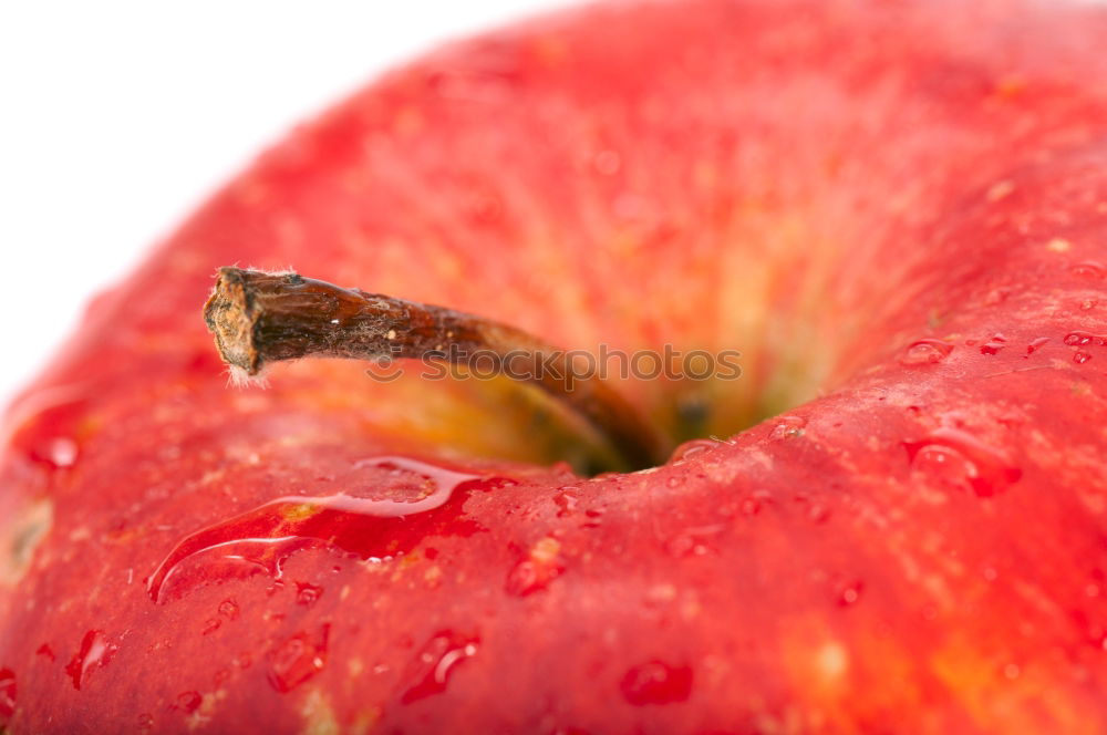 Similar – Apple on a branch Fruit