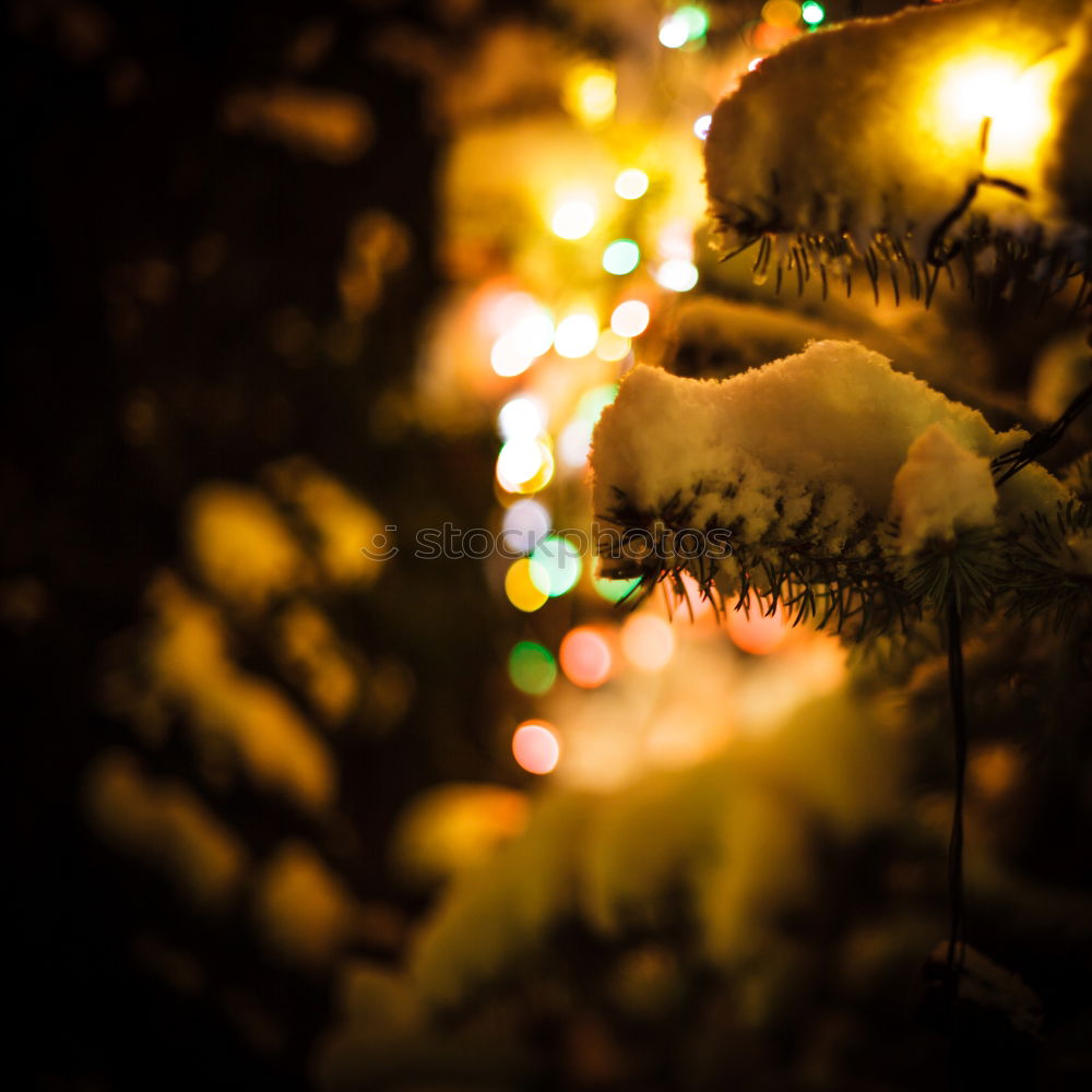 Similar – Natürlicher Weihnachtsbaum mit leuchtenden Lampen im Advent