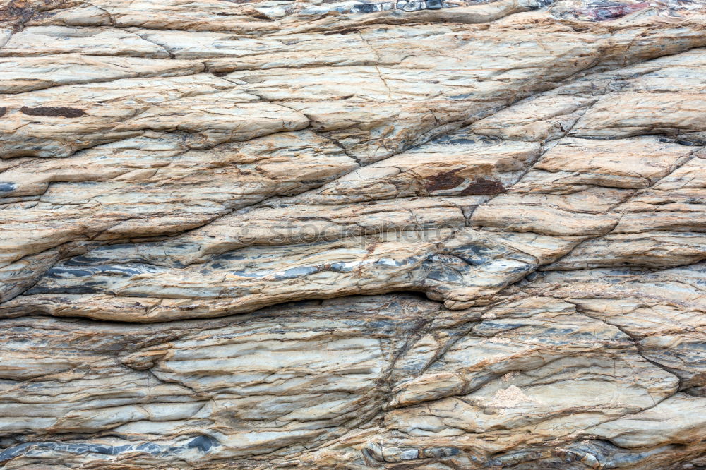 Similar – Sedimentary rocks texture